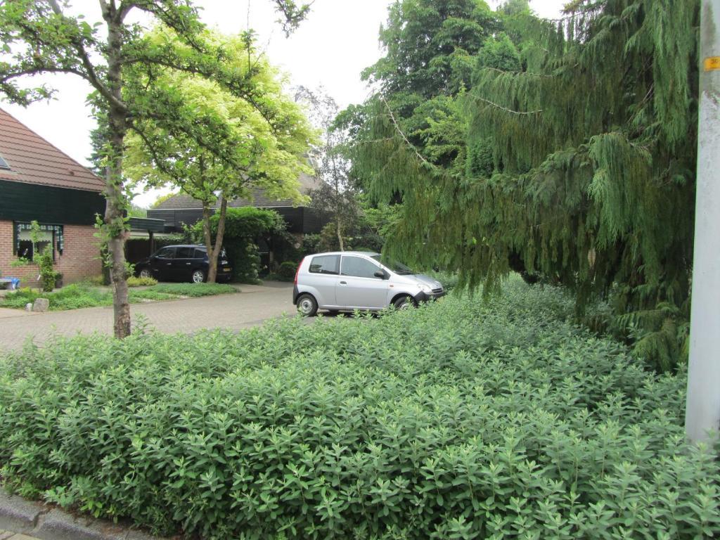 B&B Molenzicht Warnsveld Exterior photo